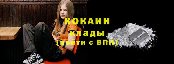 эйфоретик Арсеньев