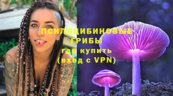 эйфоретик Арсеньев