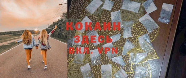 эйфоретик Арсеньев