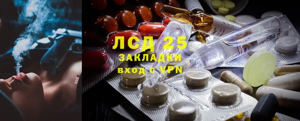 эйфоретик Арсеньев