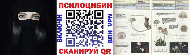 Псилоцибиновые грибы MAGIC MUSHROOMS Павловск